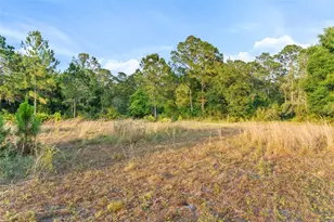 1980 Lake Buffum Rd E, Fort Meade, FL 33841 - Photo 8