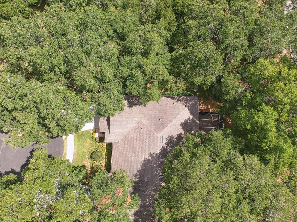 8635 Alexandra Arbor Ln, Tampa FL 33637-6330 exterior