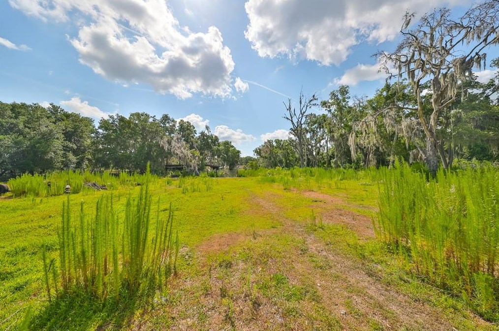 11535 County Road 39, Lithia FL 33547-1446 exterior