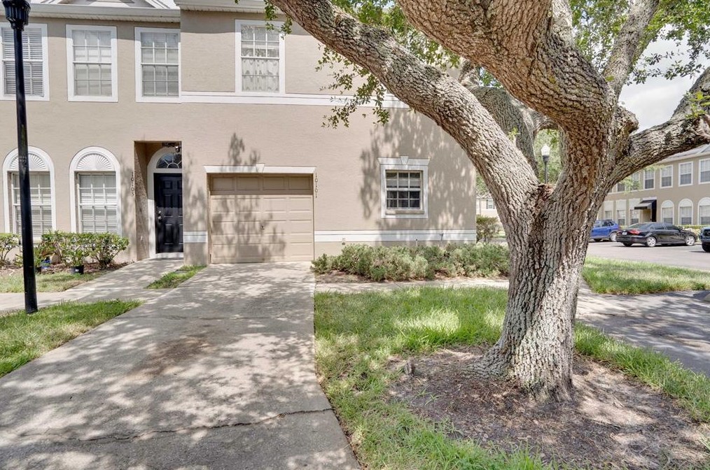 10101 Belleville Pl, Tampa, FL 33624