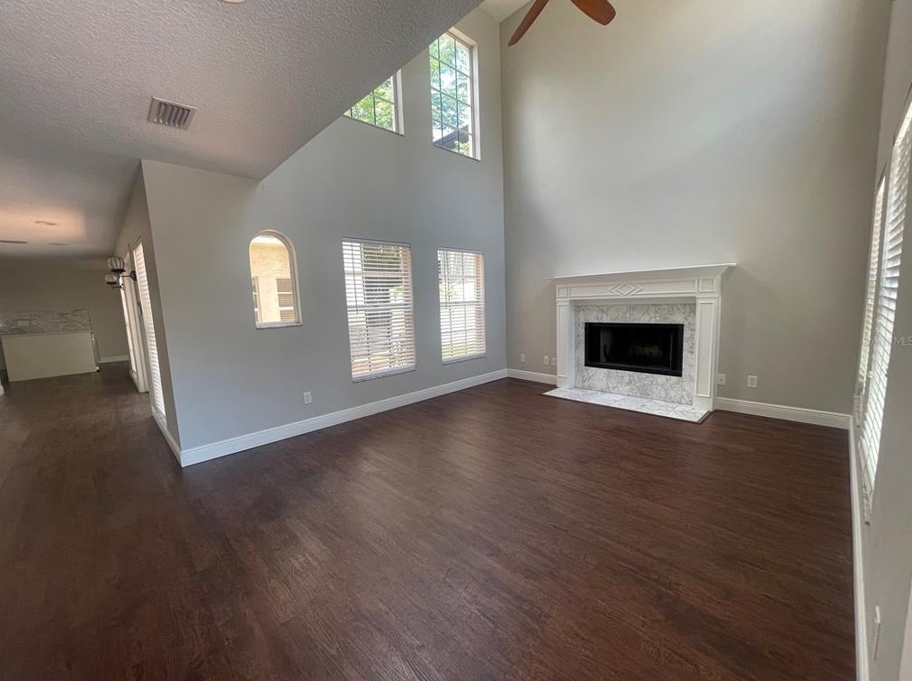 2907 Estrella St, Tampa FL  33629-6008 exterior