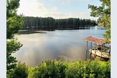 13826 Windfall Lane, Odessa, FL 33556 - Photo 2