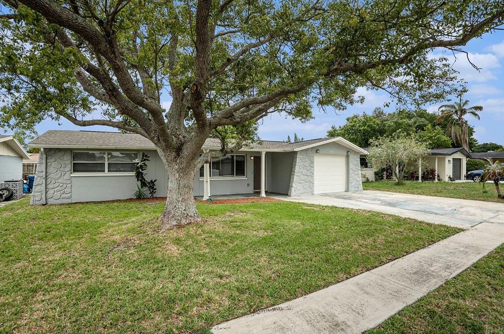 6116 11th Ave, New Port Richey, FL 34653-5220