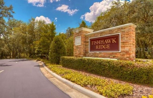 15846 Fishhawk View Dr, Lithia, FL 33547