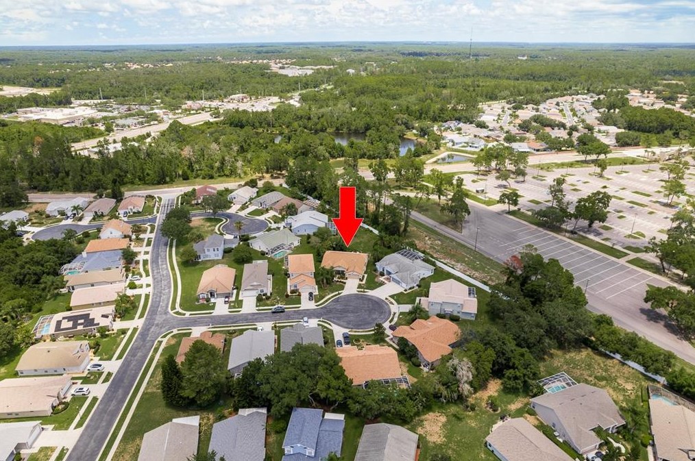 11439 Dorian Ct, New Port Richey, FL 34654