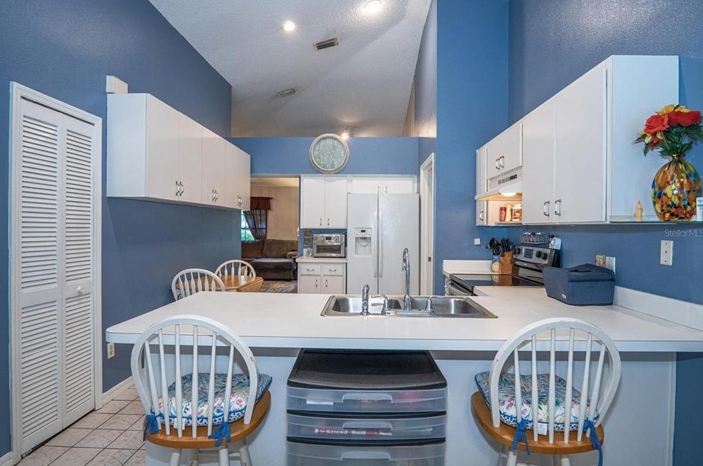 3109 Emerson Pl, Plant City, FL 33566-9533