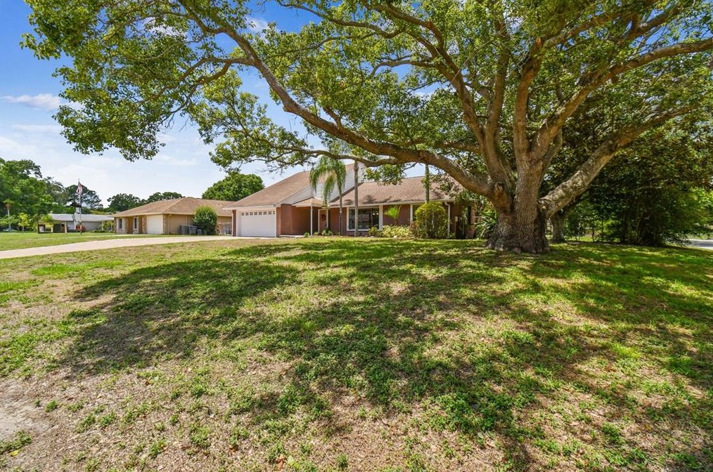 501 Chancellar Dr, Lutz, FL 33548