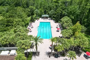 19300 Lonesome Pine Dr, Land O Lakes, FL 34638 - Photo 86