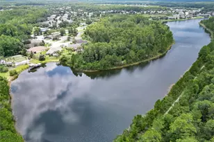 19300 Lonesome Pine Dr, Land O Lakes, FL 34638 - Photo 96