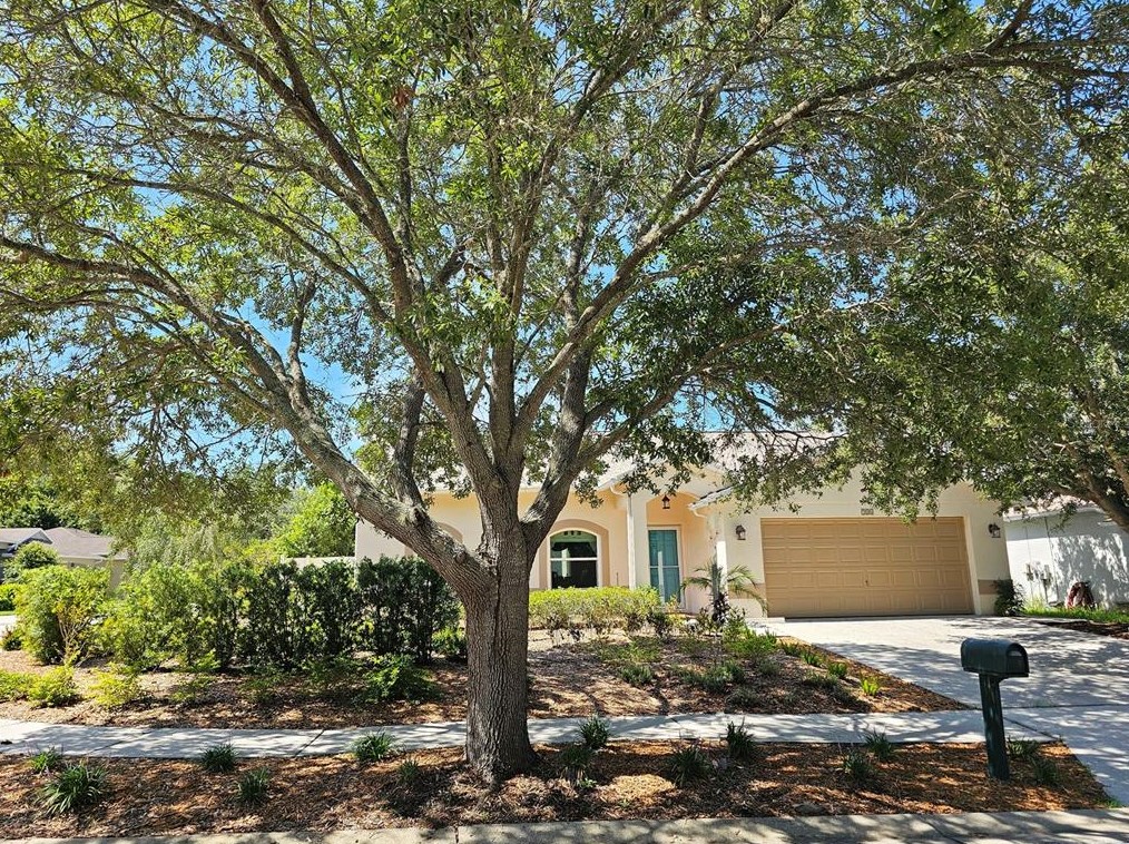 724 Cypress Park Ave, Tarpon Springs, FL 34689