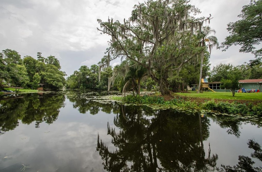 22128 Hale Rd, Land O Lakes, FL 34639