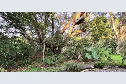 35226 Janine Drive, Zephyrhills, FL 33541 - Photo 34