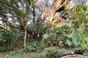 35226 Janine Dr, Zephyrhills, FL 33541 - Photo 34