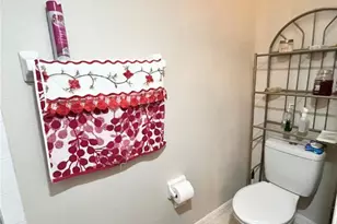 35226 Janine Dr, Zephyrhills, FL 33541 - Photo 22