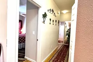 35226 Janine Dr, Zephyrhills, FL 33541 - Photo 30