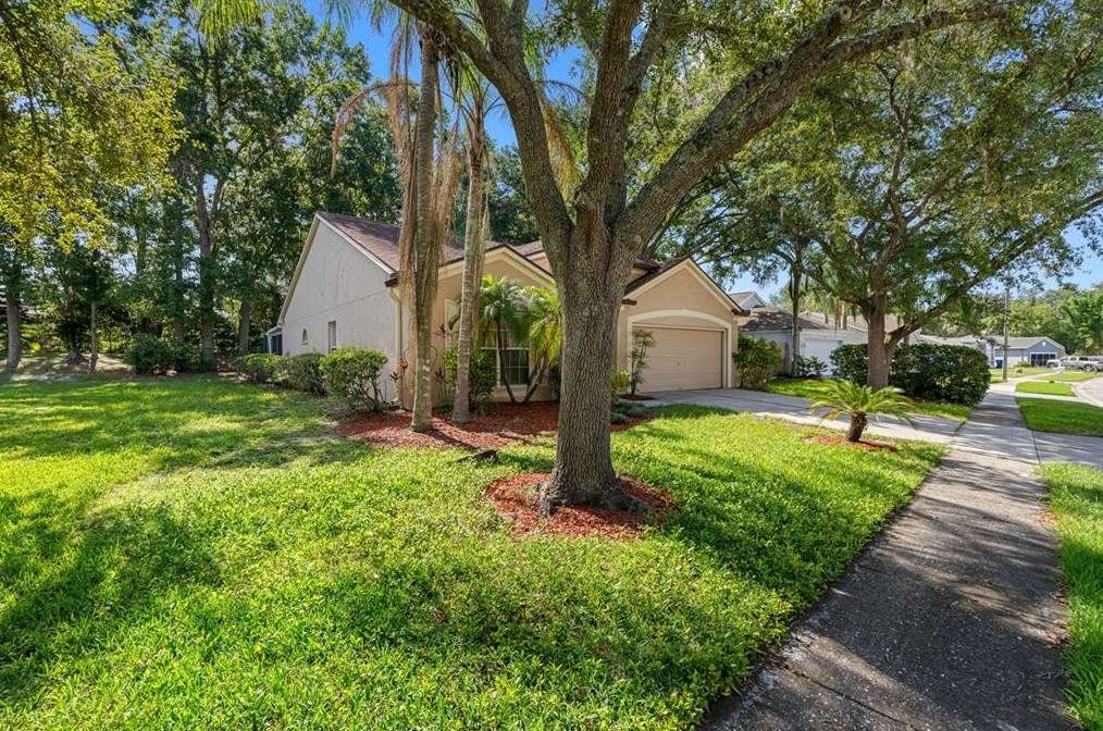 4552 Steel Dust Ln, Lutz, FL 33559