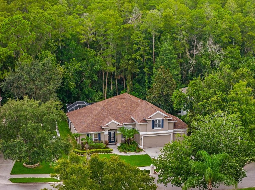 555 Lakewood Dr, Oldsmar, FL 34677