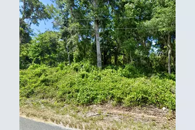 Se 41st Terrace, Summerfield, FL 34491 - Photo 1