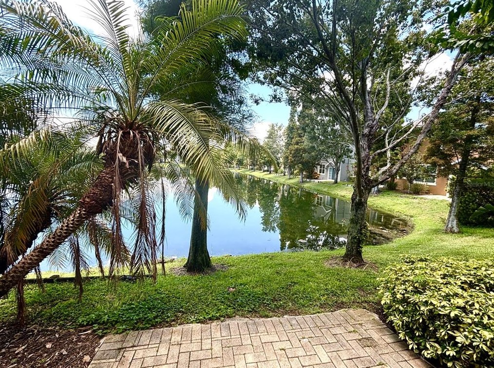 8915 Moonlit Meadows Loop, Riverview FL  33578-8850 exterior