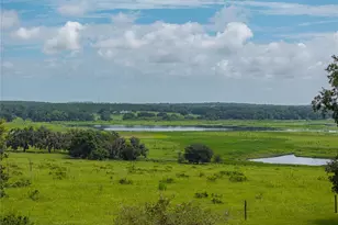 34868 Prospect Rd, Dade City, FL 33525 - Photo 88