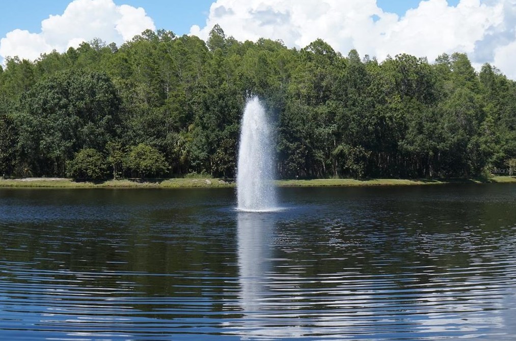 4469 Worthington Cir, Palm Harbor FL  34685-1160 exterior