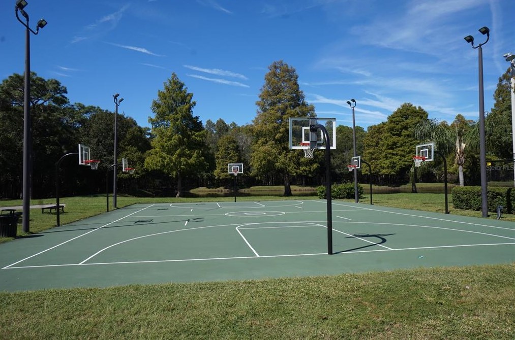 4469 Worthington Cir, Palm Harbor FL  34685-1160 exterior