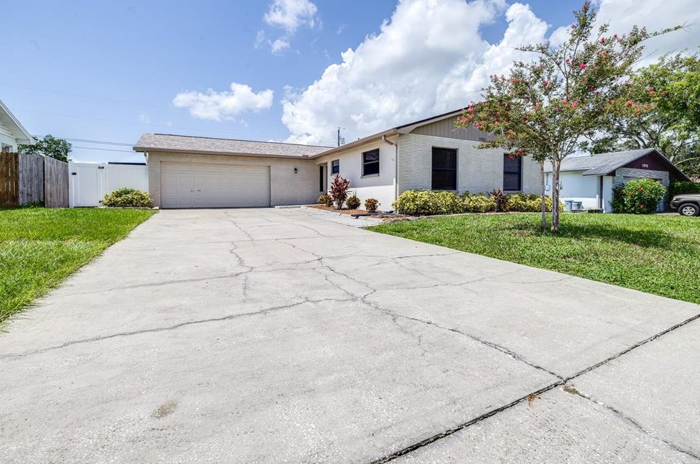 1981 Briarwood St, Dunedin, FL 34698