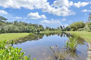 19334 Autumn Woods Ave, Tampa, FL 33647 - Photo 80