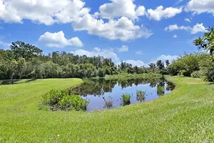 19334 Autumn Woods Ave, Tampa, FL 33647 - Photo 4