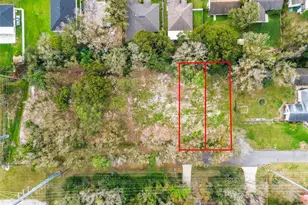 2122 W Bird St, Tampa, FL 33604 - Photo 4