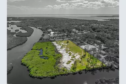 12101 State Street, Tampa, FL 33635 - Photo 6