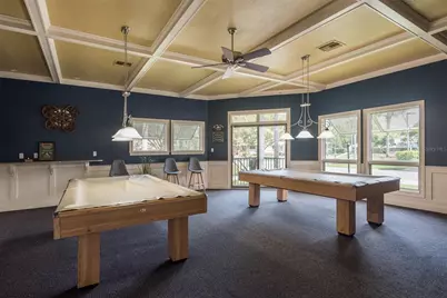 1134 S Pointe Alexis Drive, Tarpon Springs, FL 34689 - Photo 62