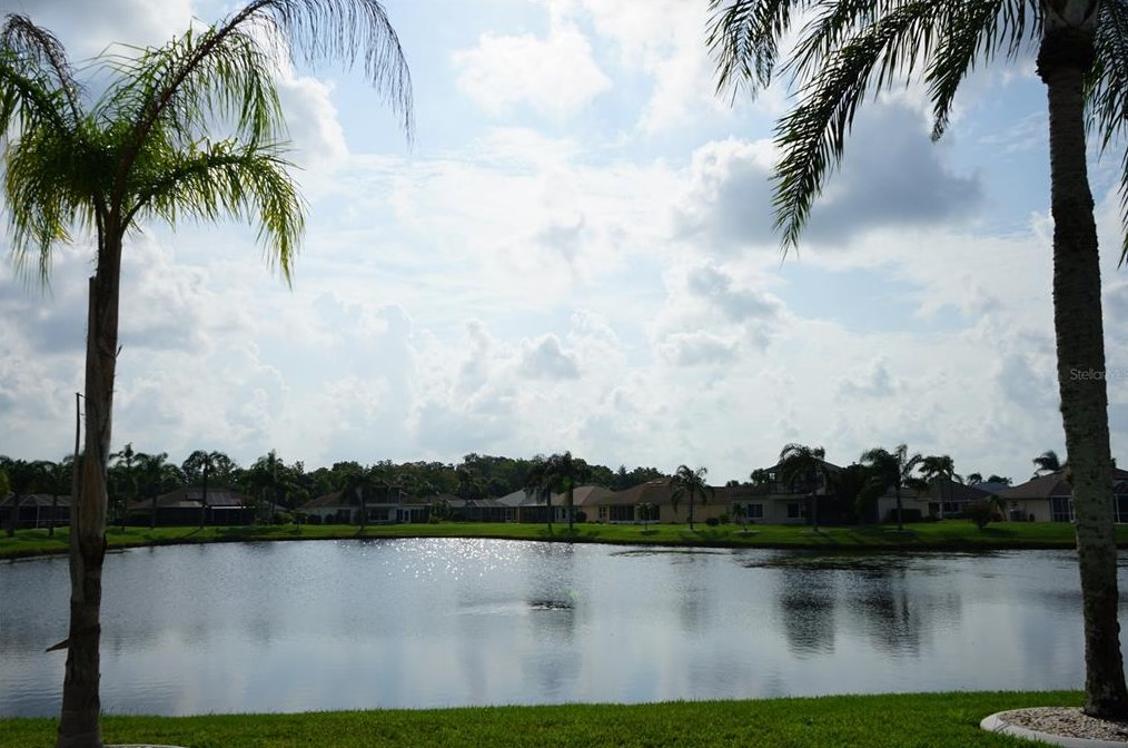2311 Emerald Lake Dr, Ruskin, FL 33573