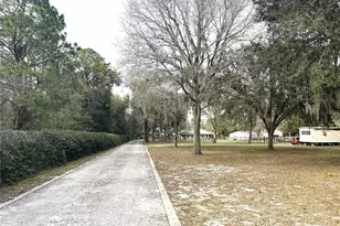 30737 Elam Rd, Wesley Chapel, FL 33545 - Photo 14