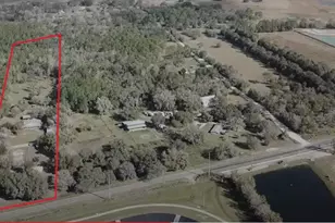 30737 Elam Rd, Wesley Chapel, FL 33545 - Photo 10