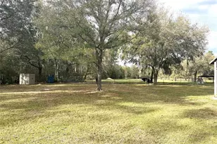 30737 Elam Rd, Wesley Chapel, FL 33545 - Photo 8