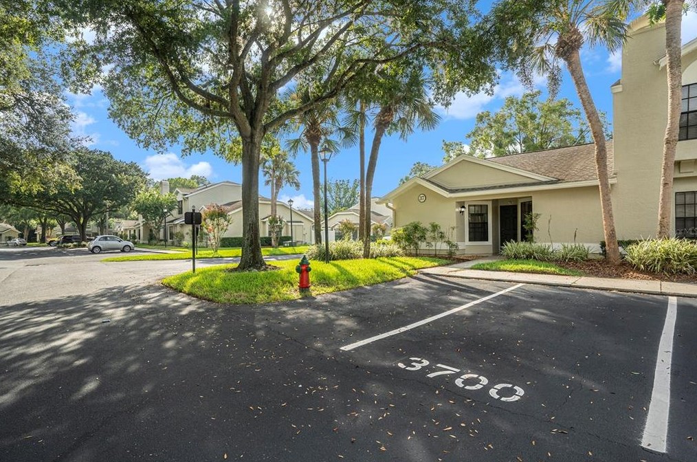 5100 Burchette Rd #3700, Tampa, FL 33647