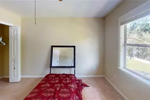 905 John Hunter Ct, Brandon, FL 33511 - Photo 6