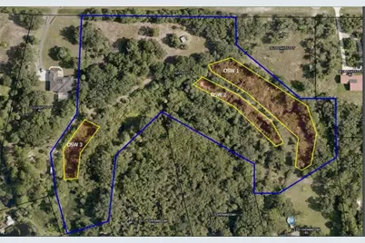 Lightfoot Road, Wimauma, FL 33598 - Photo 6