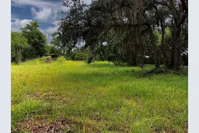 Lightfoot Road, Wimauma, FL 33598 - Photo 4