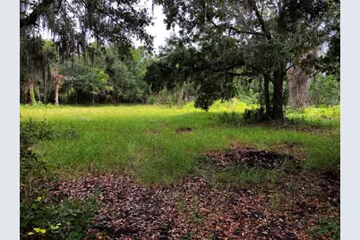 Lightfoot Road, Wimauma, FL 33598 - Photo 2