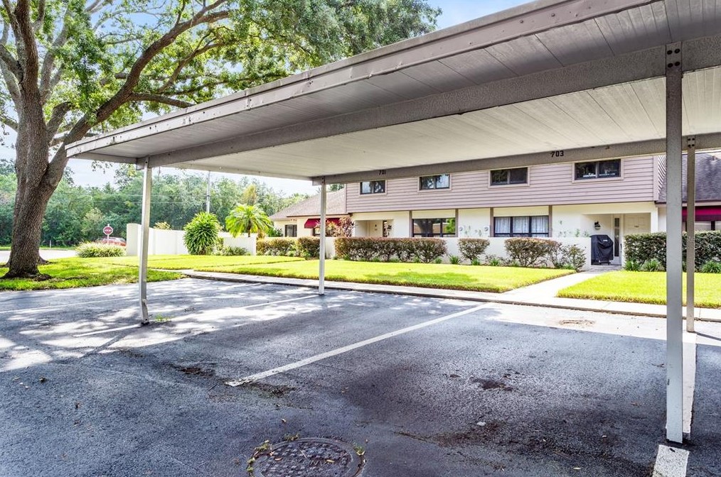 703 Oak Park Pl, Brandon, FL 33511