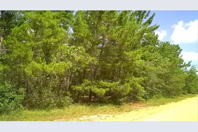 0 Childs Road, Interlachen, FL 32148 - Photo 1