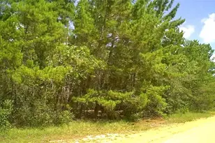0 Childs Rd, Interlachen, FL 32148 - Photo 1