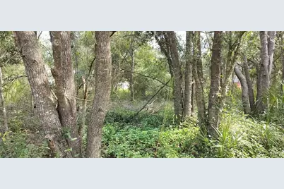 96 N Sheltering Oaks Drive, Inverness, FL 34453 - Photo 8