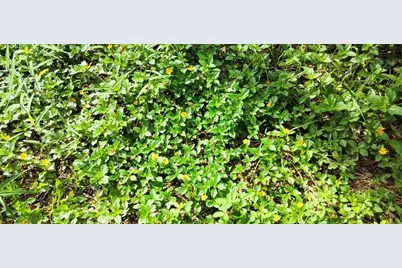 96 N Sheltering Oaks Drive, Inverness, FL 34453 - Photo 14