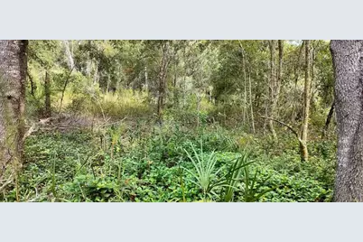 96 N Sheltering Oaks Drive, Inverness, FL 34453 - Photo 4