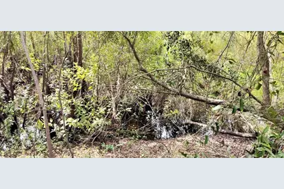 96 N Sheltering Oaks Drive, Inverness, FL 34453 - Photo 10