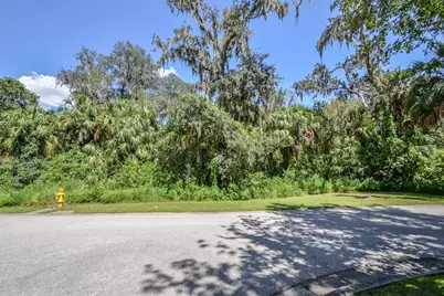 4808 Rambling River Road, Brandon, FL 33511 - Photo 6