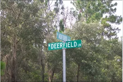 2156 W Deerfield Lane, Dunnellon, FL 34434 - Photo 2